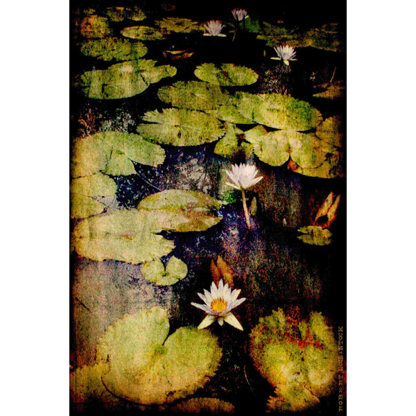 Red Barrel Studio® Lily Ponds VIII On Canvas by Norman Wyatt Jr. Print